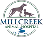 Millcreek Animal Hospital