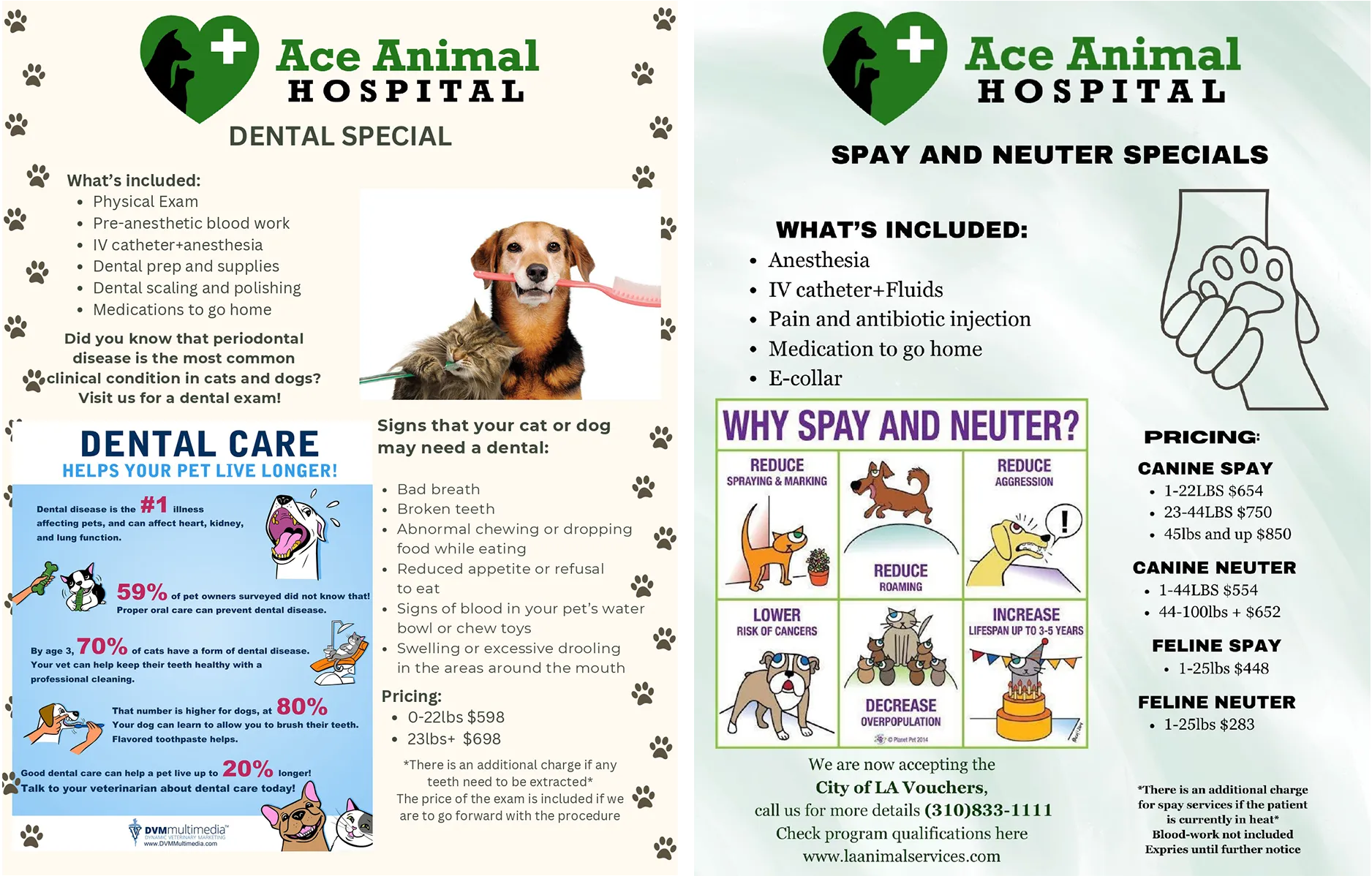 Ace Animal Hospital Specials