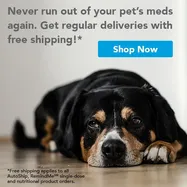 Online Store