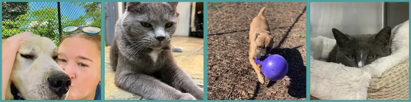 Boarding Film Roll 1