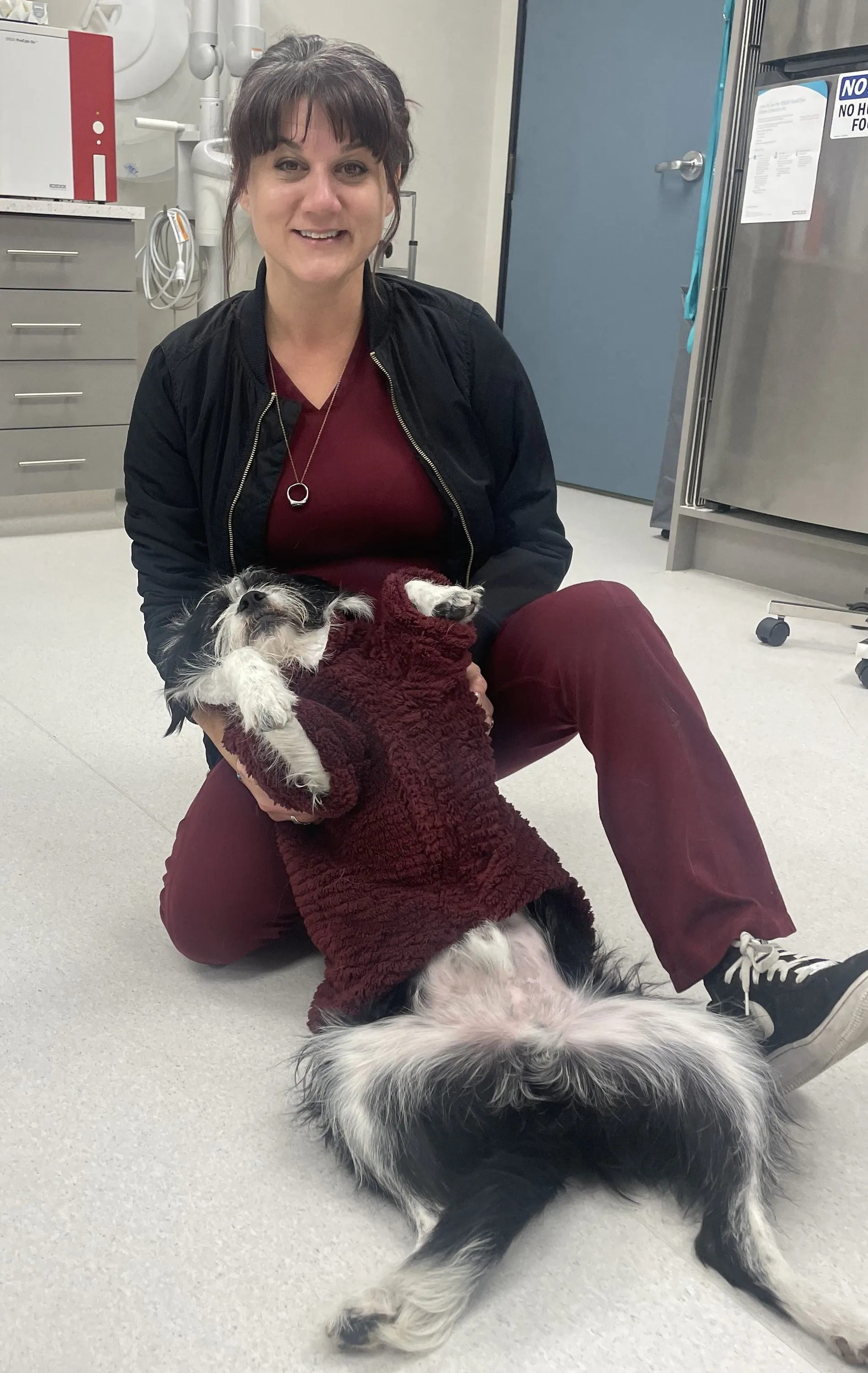 Veterinary assistant 