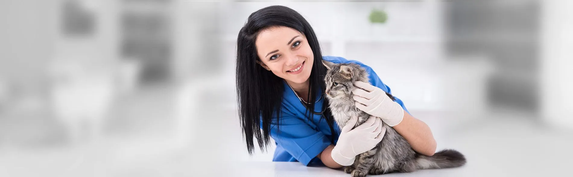 Photo of a woman wearing scrubs holding a cat