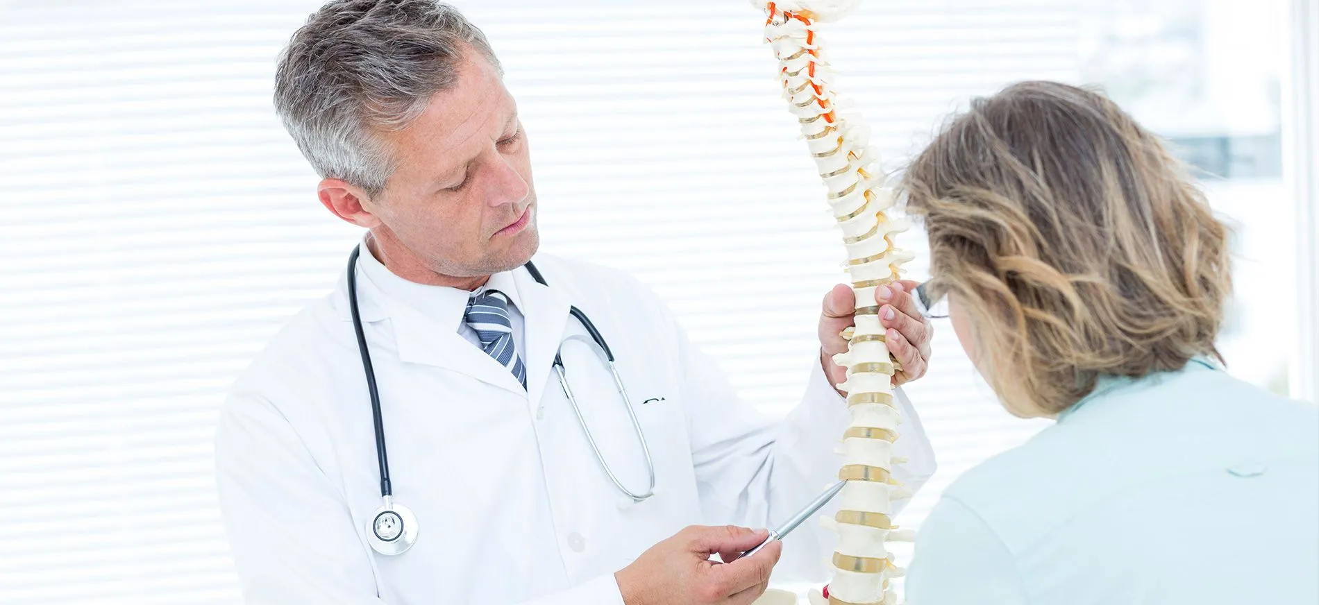 A doctor holding a spine