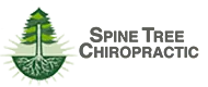 Spine Tree Chiropractic