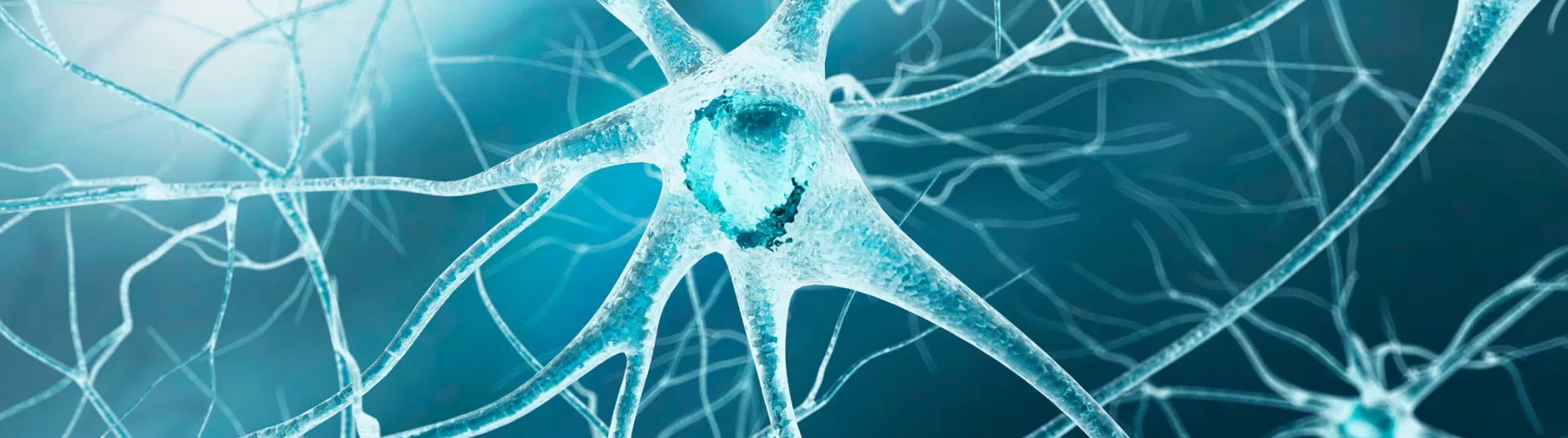 Polyvagal-Informed Therapy