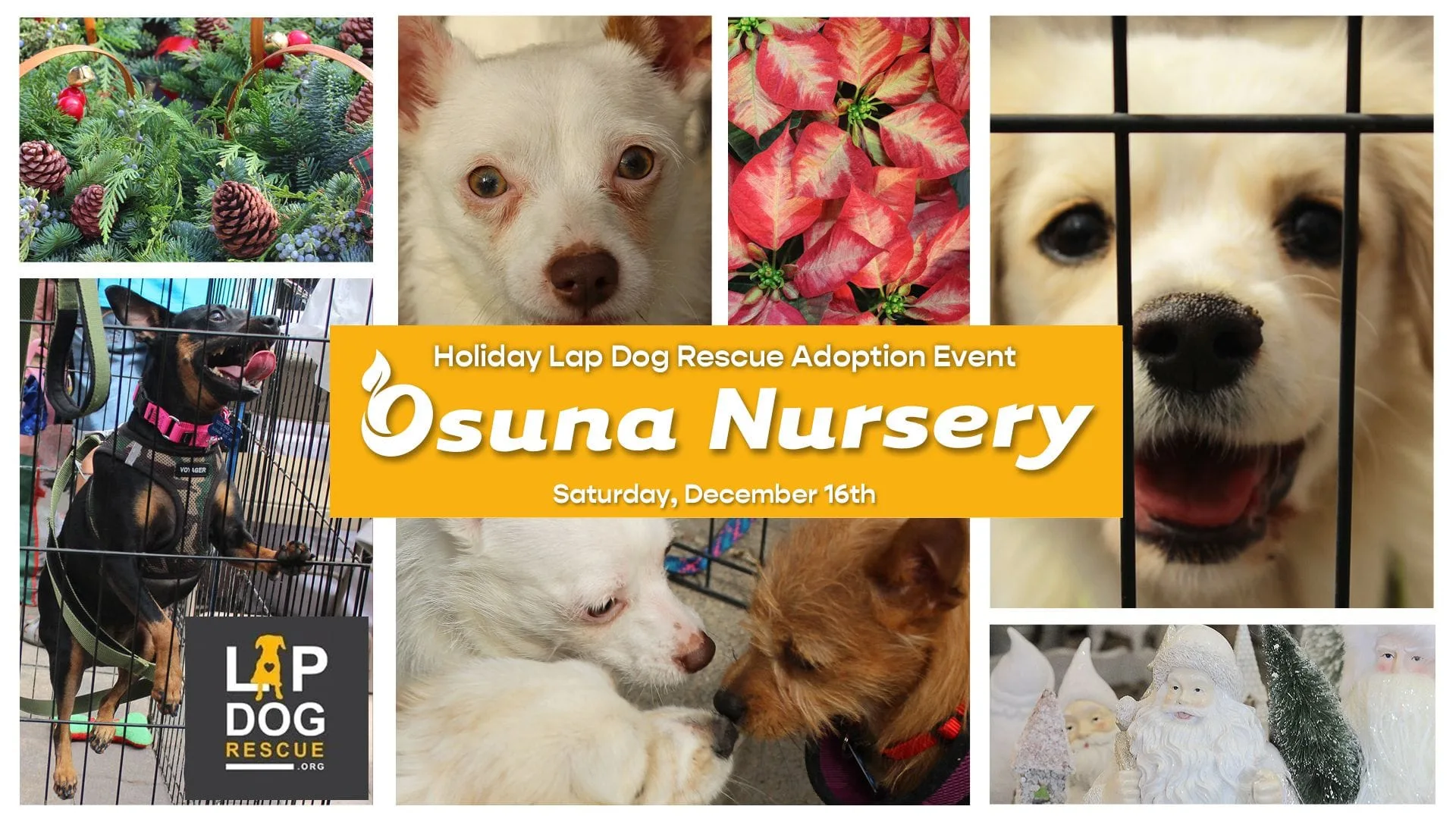 Osuna Adoption Clinic