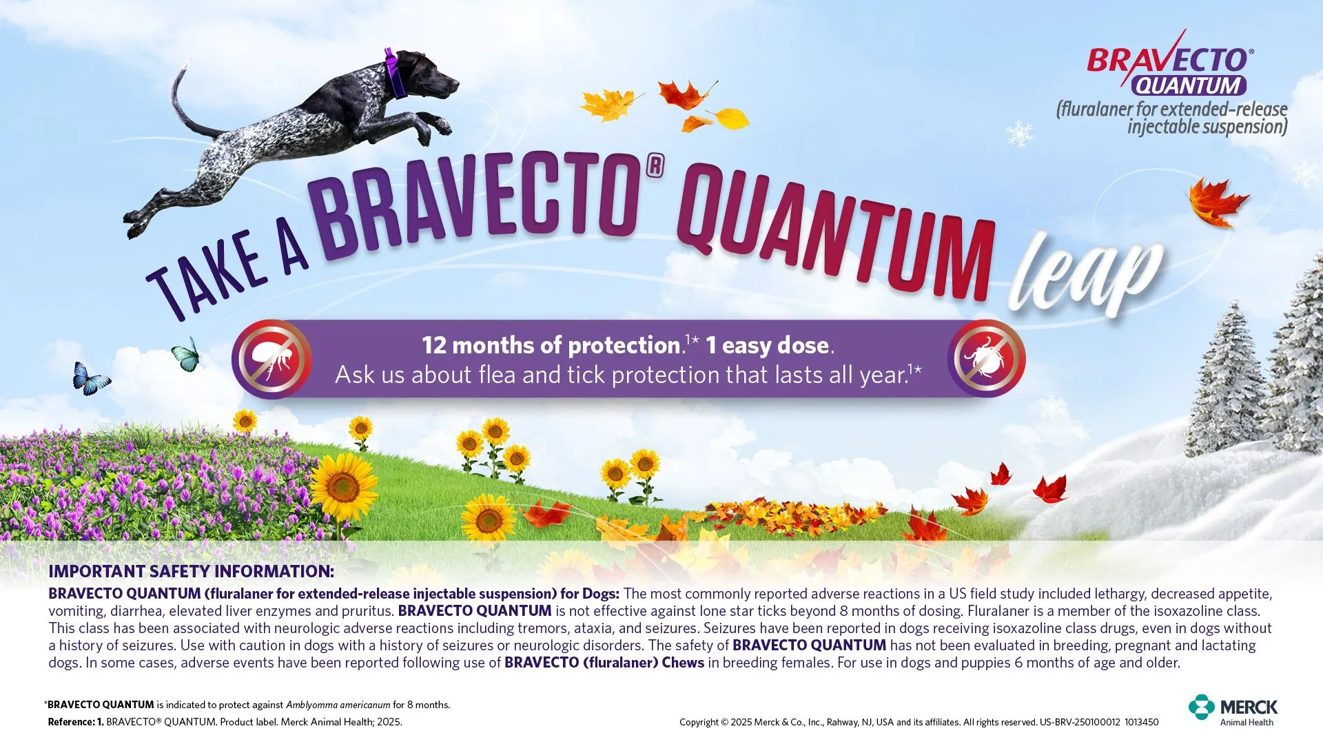 BRAVECTO QUANTUM