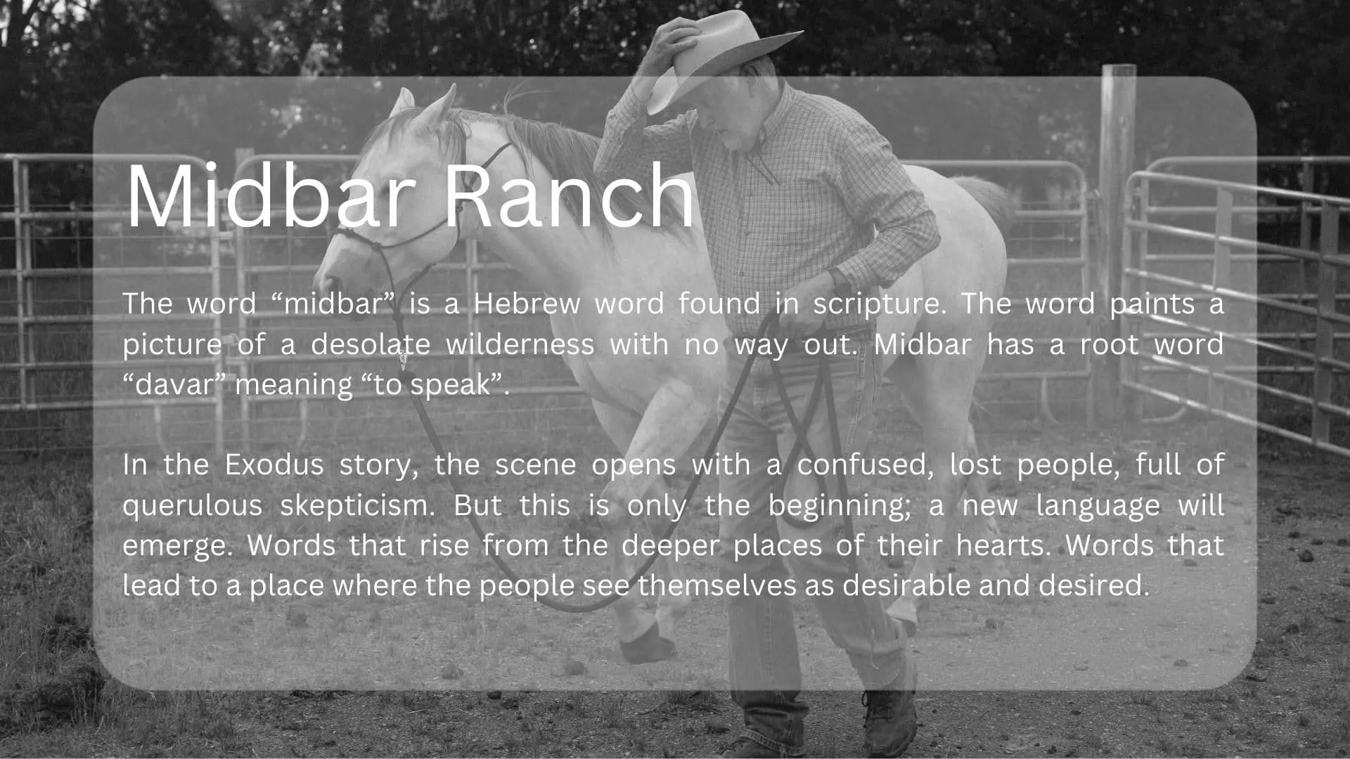 Midbar Ranch 
