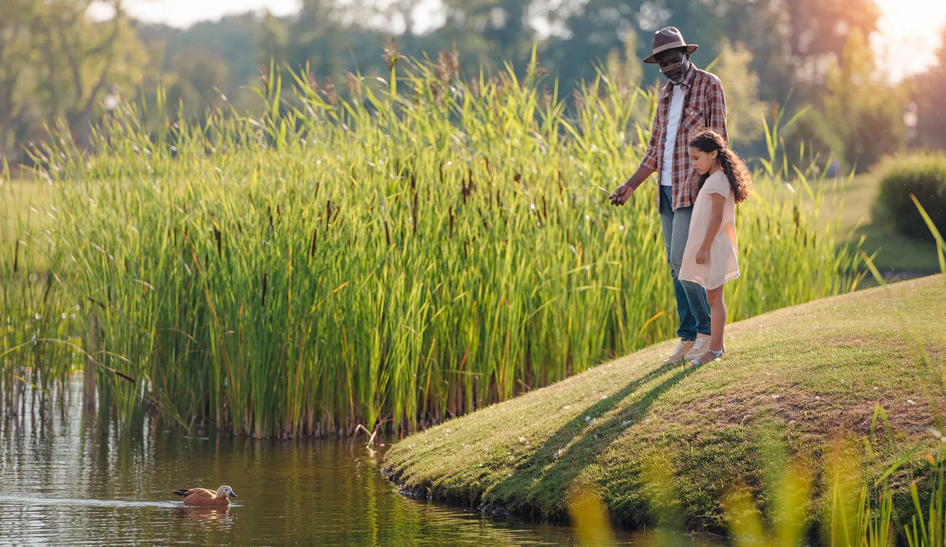 grandfather and child watching a duck on the lake