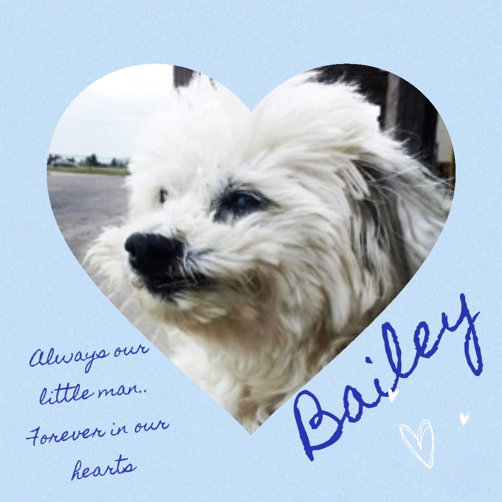 Bailey