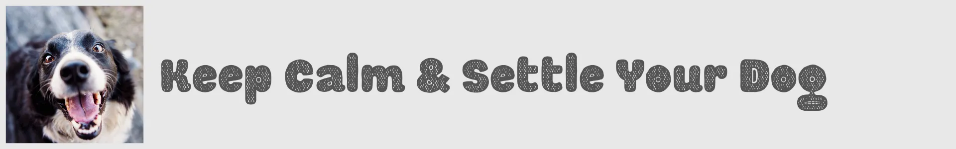 Keep Calm & Settle Your Dog