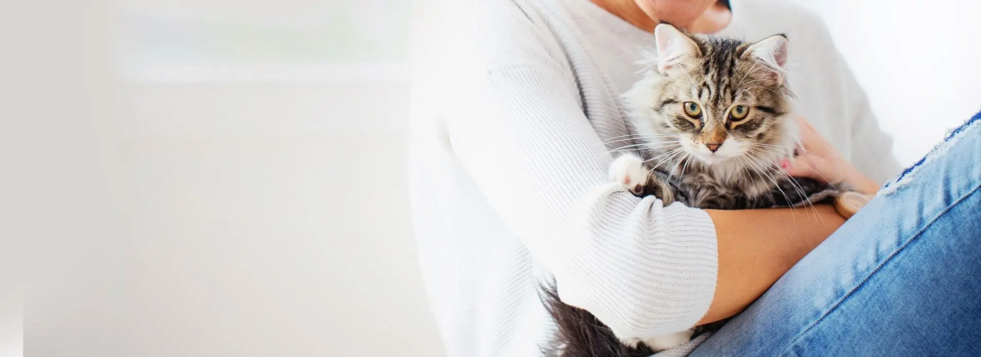 Comprehensive Veterinary Care FAQ