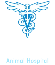 Algona Animal Hospital