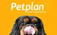PetPlan.Insurance.jpeg