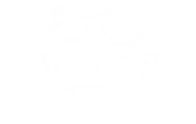 Voss Vision