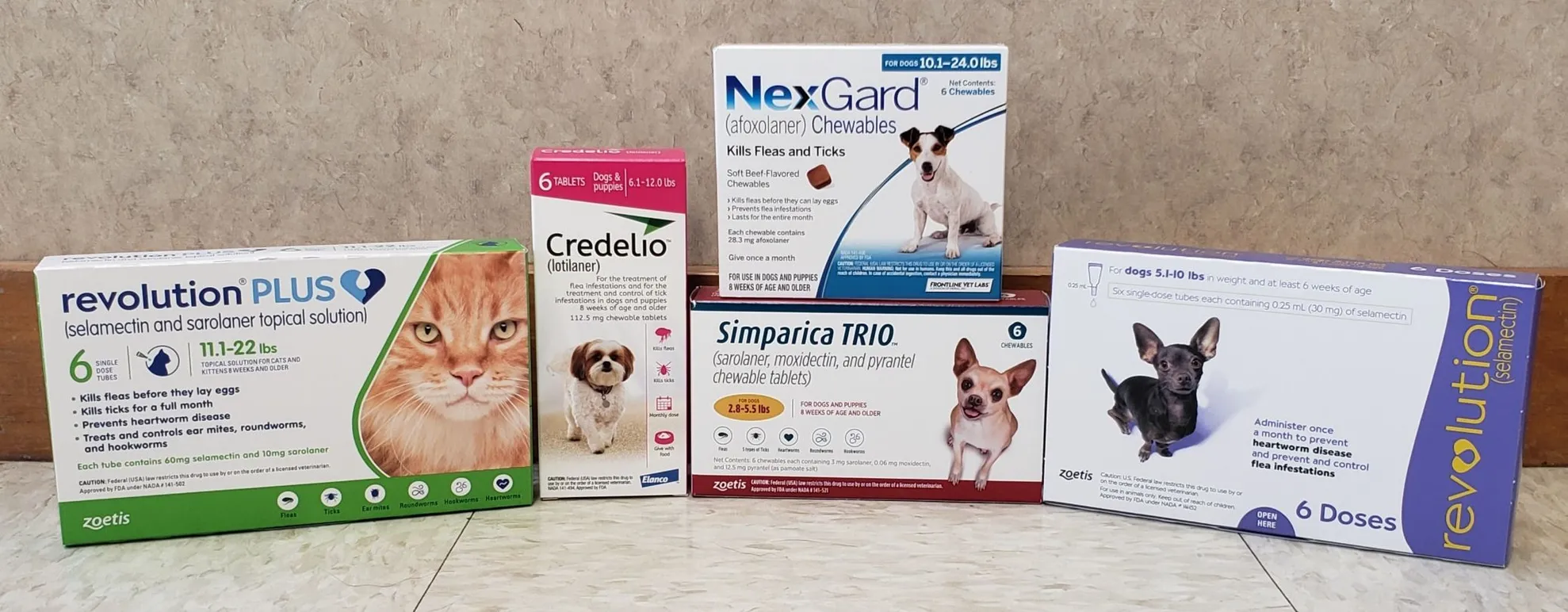 Flea and Tick Prevention 