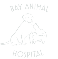 Bay Animal Hospital Veterinarian In Essexville Mi Country