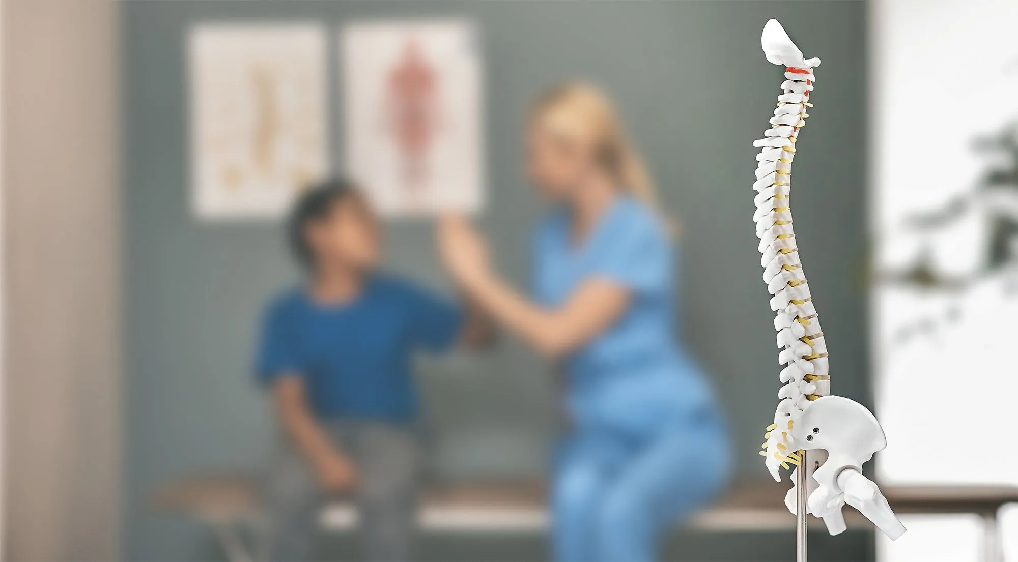 Anatomy of Spine with patient being helped in the background