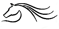 Black Horse Chiropractic Logo