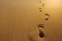footprints in sand