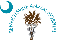 Bennettsville Animal Hospital