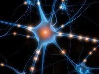 Neurotransmitters are the chemical messengers within the body