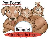 Rapport Patient Portal