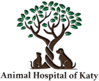 Animal Hospital Of Katy