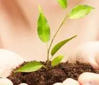 mental health Andrew Kohlhepp Hilton Head, counseling