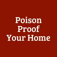 Poison Proof Your Home