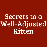 5 Secrets to a Well-Adjusted Kitten