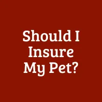 Should I Insure my Pet?