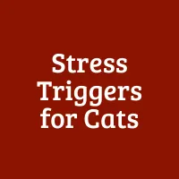 Stress Triggers for Cats