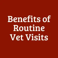 Benefits of Routine Vet Visits