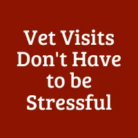 Vet Visits Don't Have to be Stressful