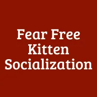 Fear-Free Kitten Socialization