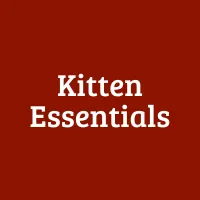 Kitten Essentials