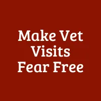 Make Vet Visits Fear Free