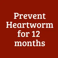 Prevent Heartworm for 12 months 
