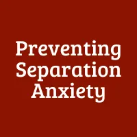 Preventing Separation Anxiety