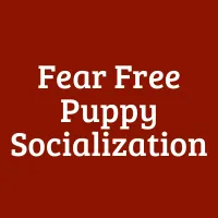 Fear-Free Puppy Socialization