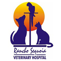 collapsed disc in dogs