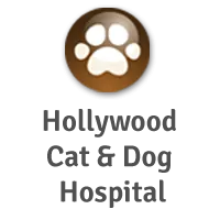 Hollywood Cat and Dog Hospital