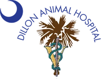 Dillon Animal Hospital