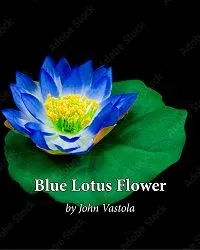 blue lotus