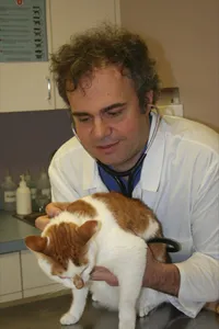 Dr Lucas treating a cat at TLC in Reisterstown