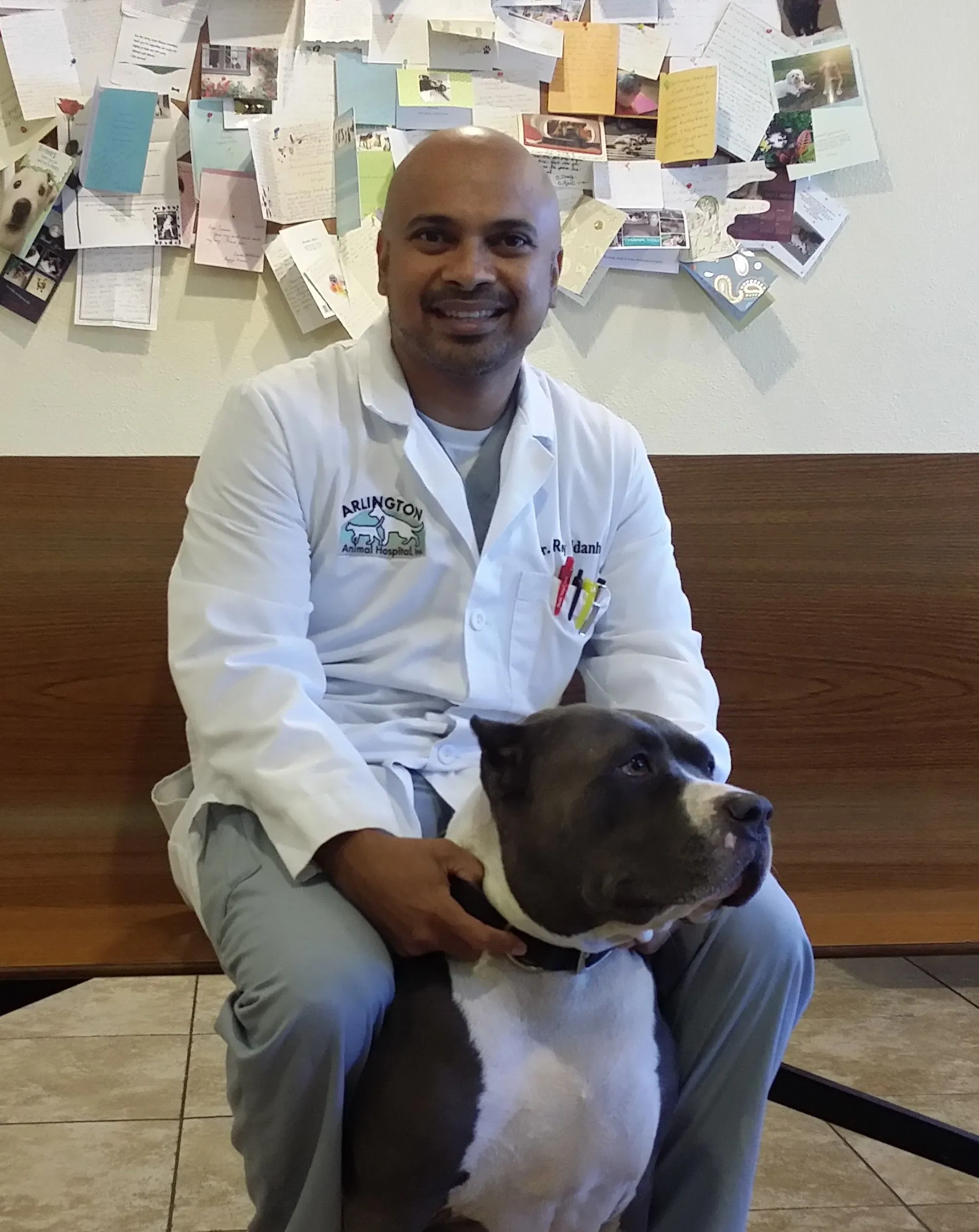 Arlington Animal Hospital in Riverside - Compassionate Care