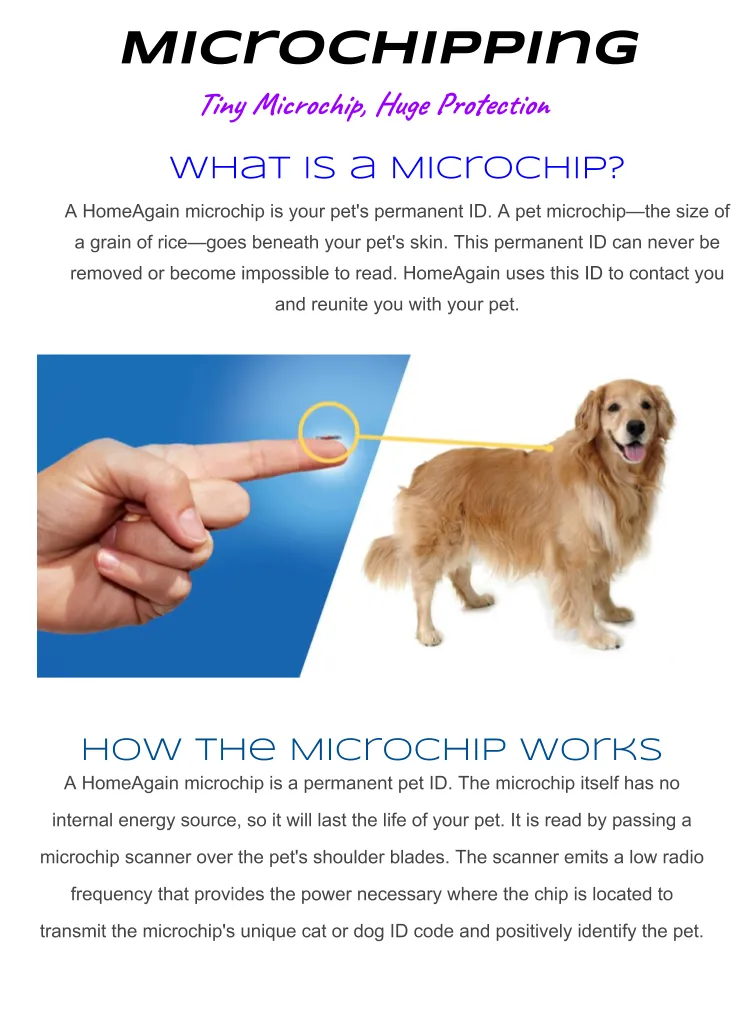 Microchipping