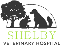 Shelby Veterinary Hospital