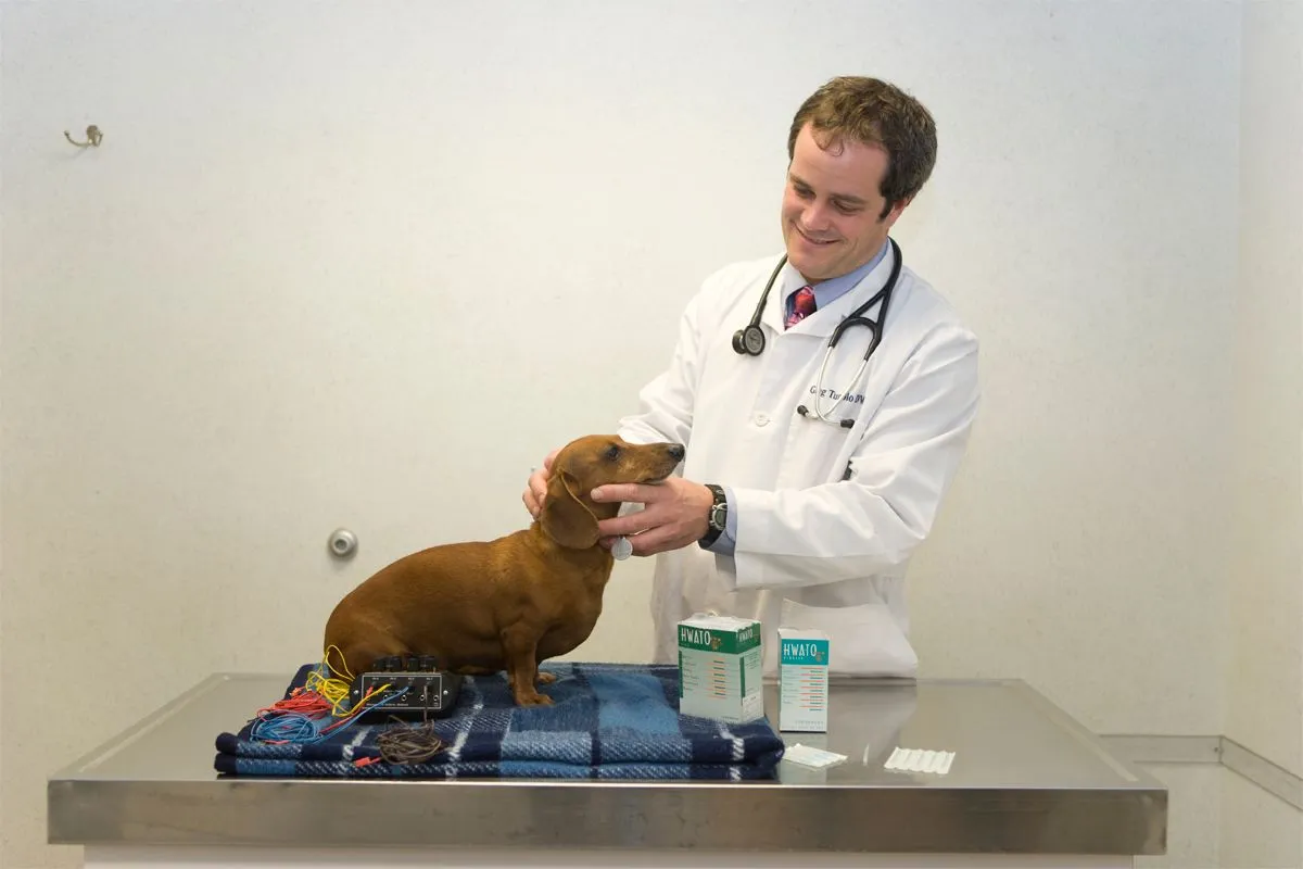 Acupuncture Services